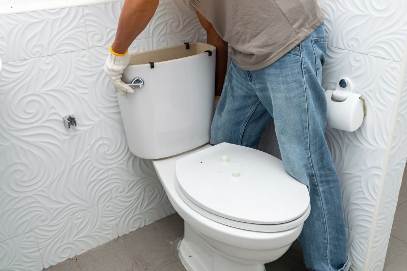 Cost of Toilet Replacement in Apollo Beach, FL